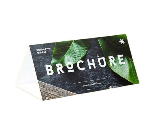 Image Brochure Holders