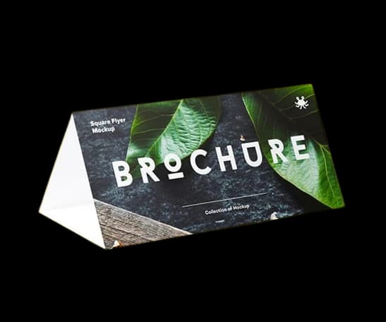 Image Brochure Holders