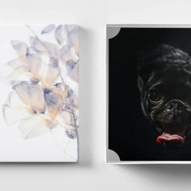 Photography Boxes